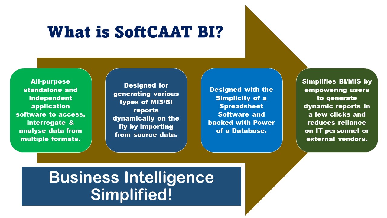 What is SoftCAAT BI 1