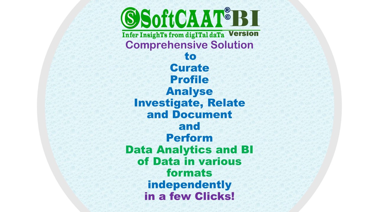 Why use SoftCAAT BI 1