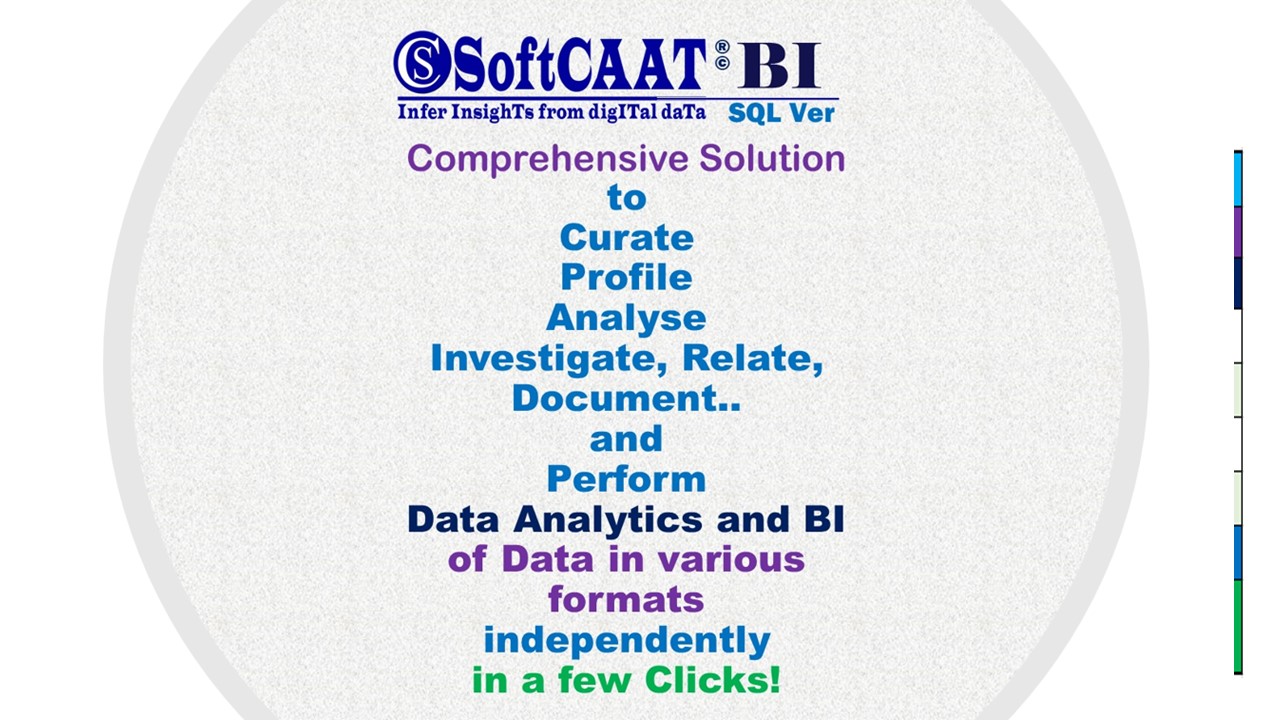 Why use SoftCAAT BI Sql 1