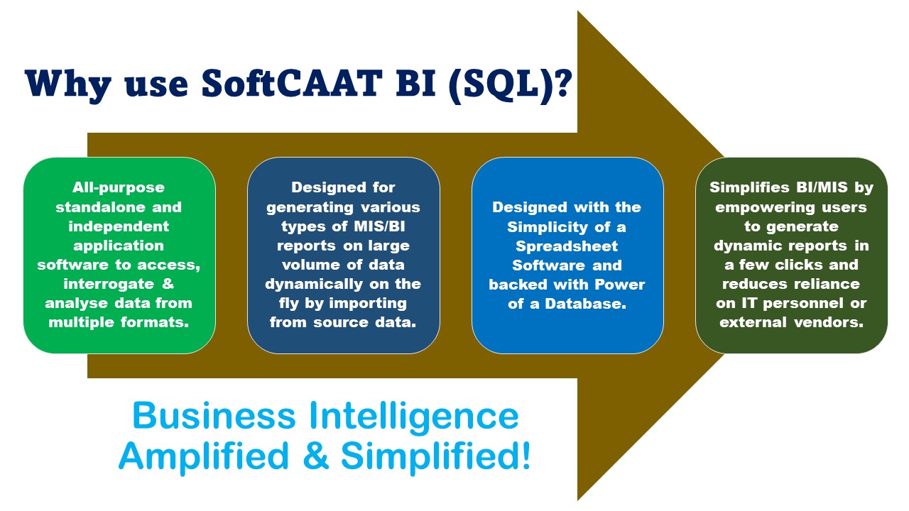 SoftCAAT BI(SQL)