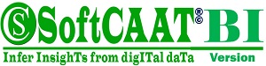 SoftCAAT BI Product Logo