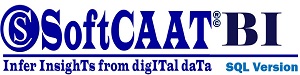 SoftCAAT-BI (SQL) Product Logo