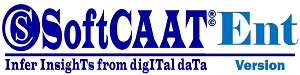SoftCAAT Enterprise Product Logo