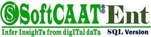SoftCAAT Ent (SQL) Product Logo
