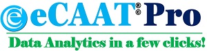 eCAAT Pro Product Logo