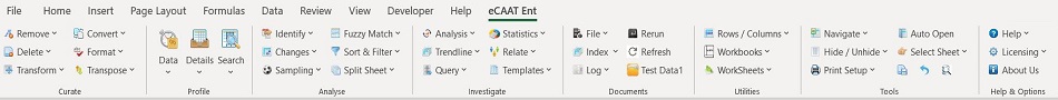 eCAAT Software Intro