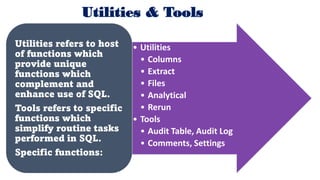 Intro of Key Features of SoftCAAT BI Software