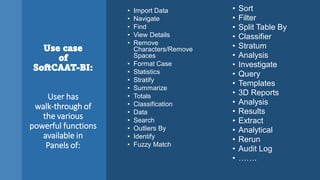 Intro of Key Features of SoftCAAT BI Software