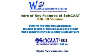 Intro of Key Features of SoftCAAT
SQL BI Version
Perform Powerful Data Analytics/BI
on Large Volume of Data in SQL in a fe...