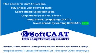 CAATTs/Analytics: Key features
• Review large population and
determine true areas of risk to Isolate
“red flags” and drill...