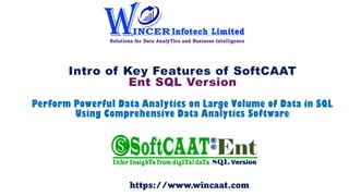 Intro of Key Features of SoftCAAT
Ent SQL Version
Perform Powerful Data Analytics on Large Volume of Data in SQL
Using Com...