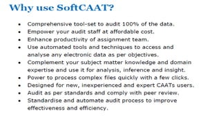 Systematic approach for using CAATTs
Document the findings and report.
Perform the tests using the DA software and analyse...