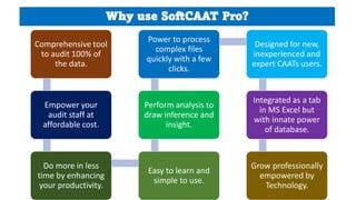 •Provide Assurance
•Ensure Compliance
•Provide Value Addition
•Be more Productive
•Be more Effective
•Be more Timely
SoftC...