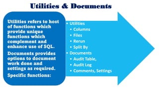Area: Debtors Aging Analysis
• Debtors aging analysis provides a summary of outstanding debtor
balances and period outstan...
